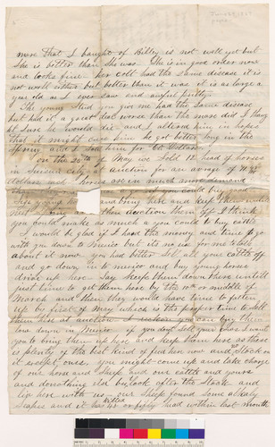 Long letter to J.E. from William J. Pleasants