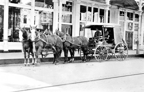 Horse-drawn buggy outside Hotel