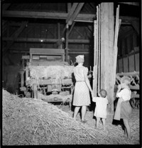 Miscellaneous Children: [Miscellaneous Children: [boy and small girl with woman in hay barn.]