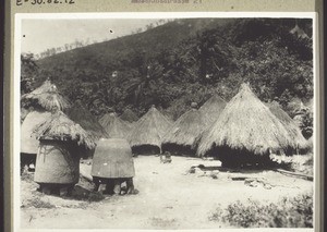 A Djale village - huts and granaries