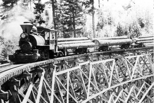 Lyonsville Logging Railroad