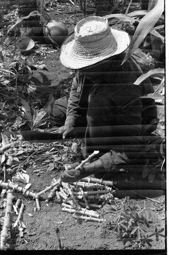 Man working in a cornfield, San Basilio de Palenque, 1975