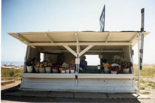 Ishibashi's Vegetable and Flower Stand