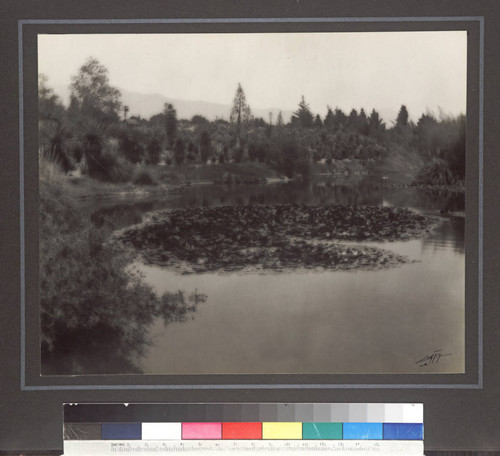 Reservoir of the San Marino ranch. and cactus garden, Huntington residence. Photographed by Curtis Studio