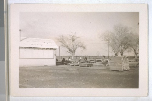 Spring, 1936, Kern County. Arvin Migratory Labor Camp - Volunteer laborer campers constructing tent platform