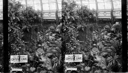 Beautiful Horticultural Building, World's Columbian Exposition