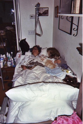 Patricia Whiting at home in bed with her pet cats