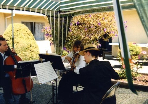 Band playing at Vince and Patricia Whiting's sixth wedding [anniversary]