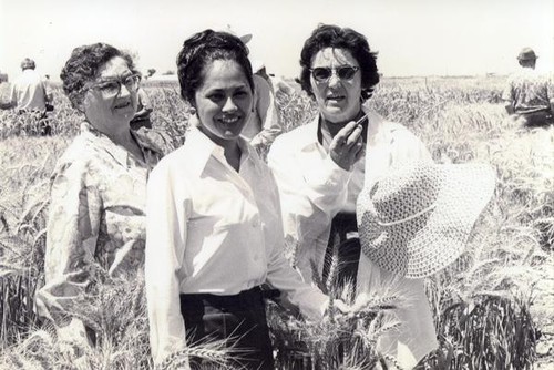 Patricia Whiting touring the fields