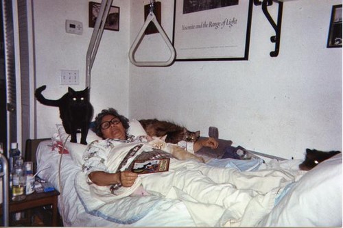 Patricia Whiting in bed with her cats