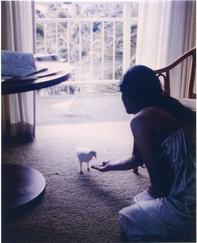 Patricia Whiting feeds a visiting dove in her hotel room