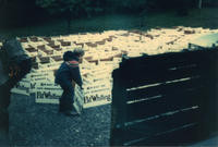 Child holding a Patricia Whiting re-election sign