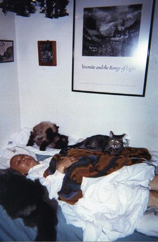 Patricia Whiting in bed with her pet cats