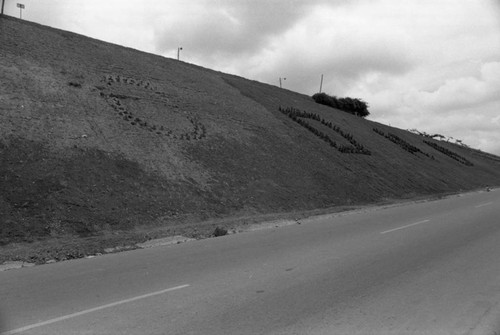 Paved road, Bucaramanga, Colombia, 1975