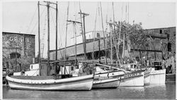 Boats docked in Petaluma, California, about 1955