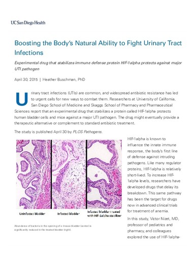 Boosting the Body's Natural Ability to Fight Urinary Tract Infections