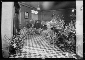 Flowers at West 6th Street & South Western Avenue opening, Pacific-Southwest Trust & Savings Bank, Los Angeles, CA 1926