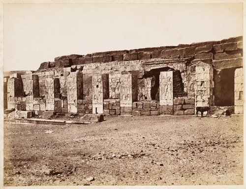 20. No. 116. Abydos, Temple de Séti 1