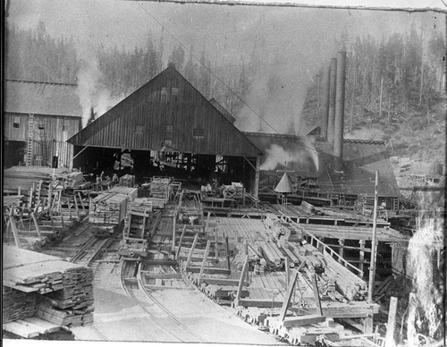 Logging, Converse Basin Mill. From Ed. Bryant's Album