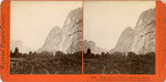 View down the Valley, right Three Brothers, left Cathedral Rocks, Yosemite Valley, Mariposa Co., 1090