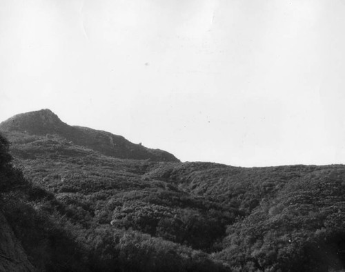 West horn of Saddle Peak, Santa Monica Mountains