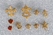 Boy Scout pins, assorted
