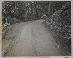 Logging road in a redwood forest, Sonoma County, California, February 7, 1953