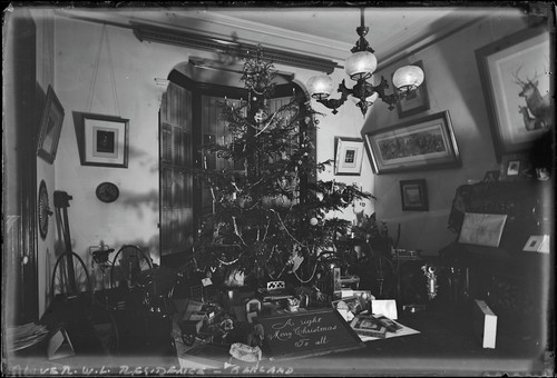 Christmas tree, William Letts Oliver house, Oakland. [negative]