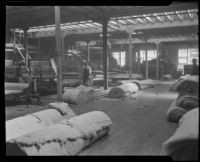 Rolls of batting for upholstery at the Roberti Brothers' furniture factory, Los Angeles, circa 1920-1930