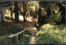 Path from Bigelow to Catholic Church, date unknown