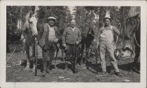 Three men with horses, in the woods, holding rifles