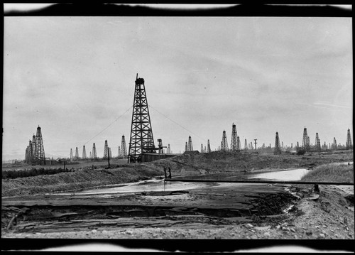 Oil fields, La Brea, Los Angeles, Cal