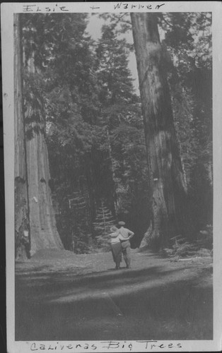 Elsie and Warren at Calaveras Big Trees