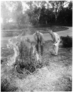 Fire resistant plant (Arcadia), 1954