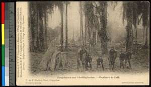 Men planting coffee, Congo, ca.1920-1940