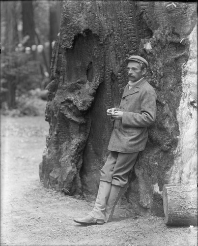 Man leaning against tree, Bohemian Grove. [negative]