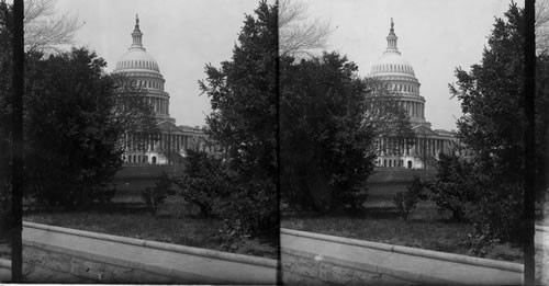 The Capitol. Washington D.C