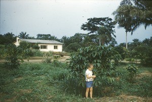 Olav Heggheim picking coffee beans, Bankim, Adamaoua, Cameroon, 1953-1968
