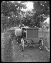 Tractor drawing Knapp plow through orchard, c. 1920