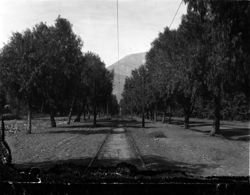 Upland Photograph Street Scenes; rail tracks in center of Euclid Avenue / Edna Swan