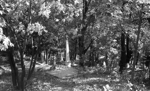 Pioneer Cemetery in Sierra City, Sierra County, California, SV-676