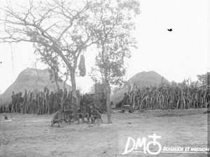 Village scene, Valdezia, South Africa, ca. 1896-1911