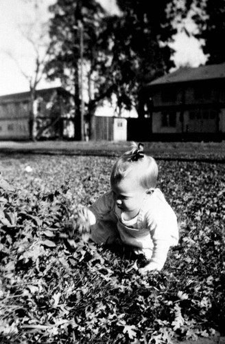 Child with leaves in Chico State Vet's Village