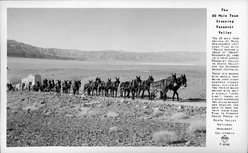 The 20 Mule Team Crossing Panamint Valley Death Valley National Monument California