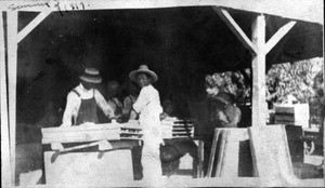 men, summer of 1919, Dinuba
