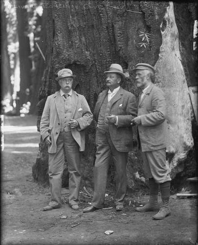 Group portrait of three men holding cigars, Bohemian Grove. [negative]