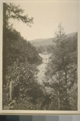 Redwood Creek near Berry Ranch. Sept. 1920