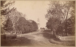 [View of tree-lined street] (2 views)
