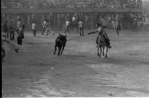 Picador on a horse during bullfight, San Basilio de Palenque, 1975