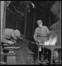 Officers. Blacksmith [Soldier] in woods. "Home fires replaced by those in heart of forests"